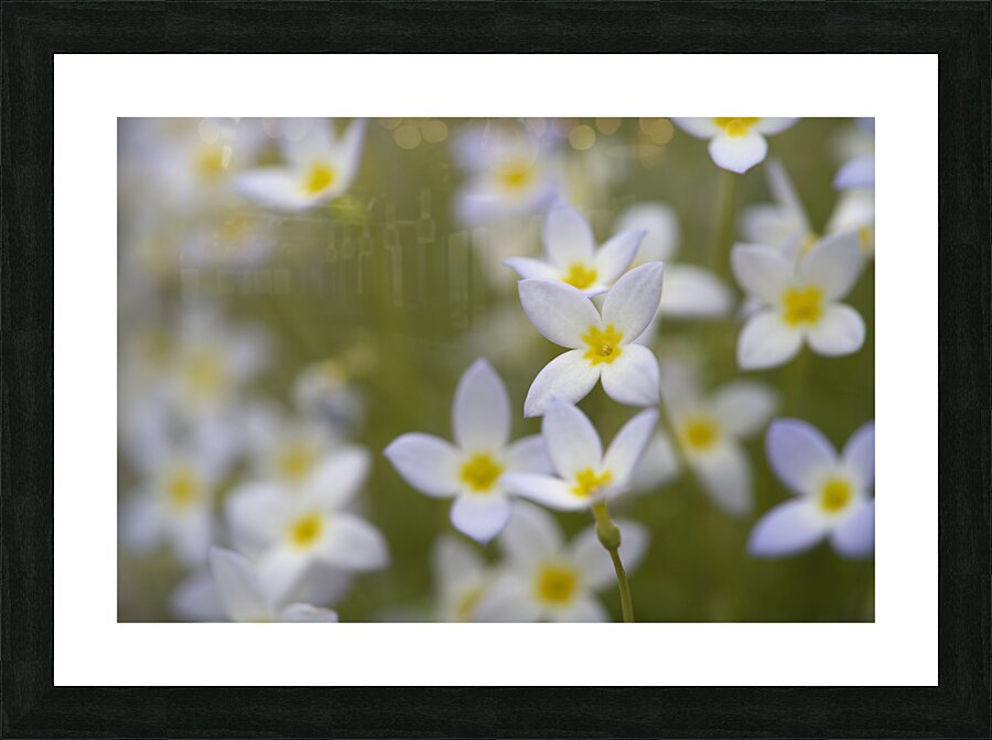 Pretty Ladies Picture Frame print