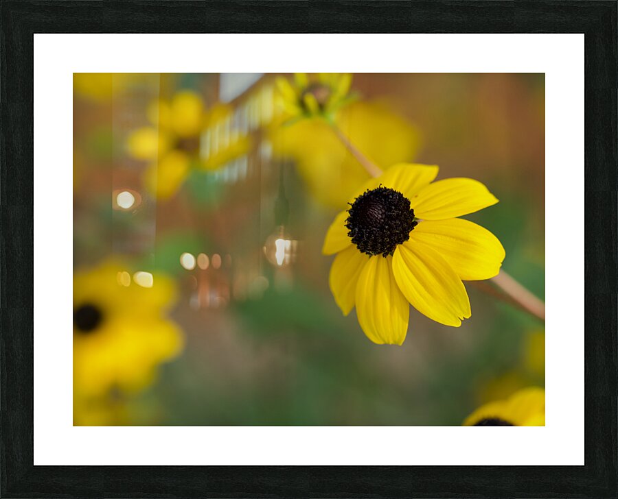 Black Eye Picture Frame print