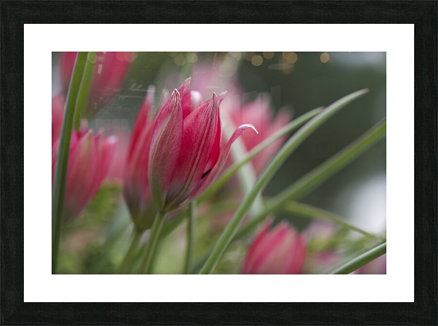 Charming Ladies Picture Frame print