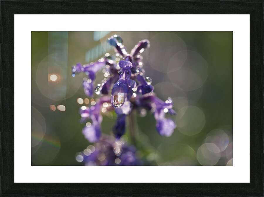 Drops and Bokeh Picture Frame print
