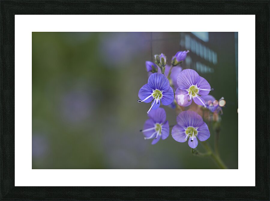 Farewell Picture Frame print