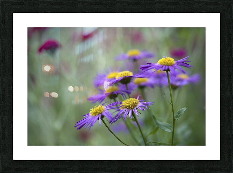 Lovely Ladies Picture Frame print