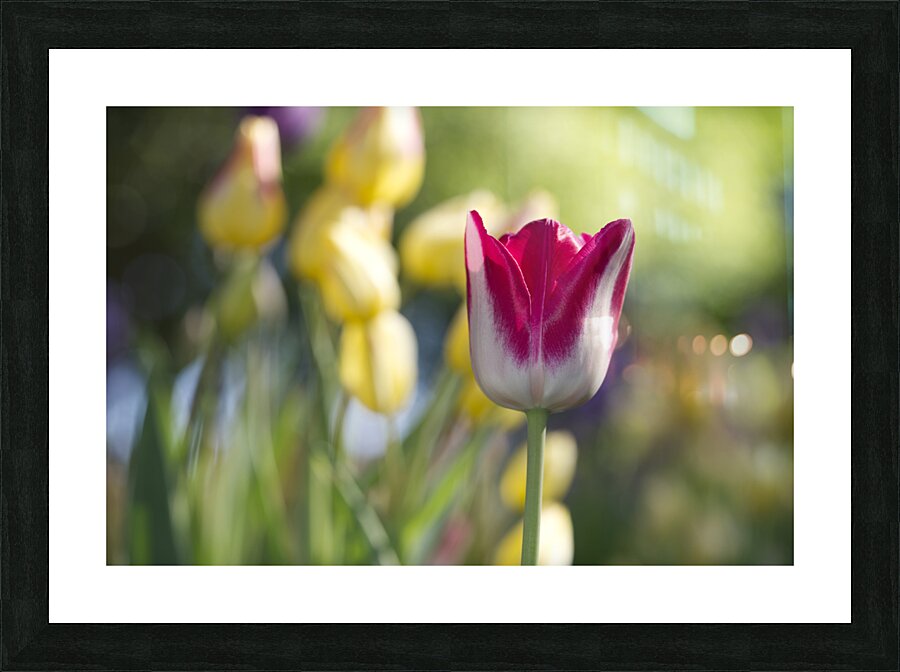 That One Picture Frame print