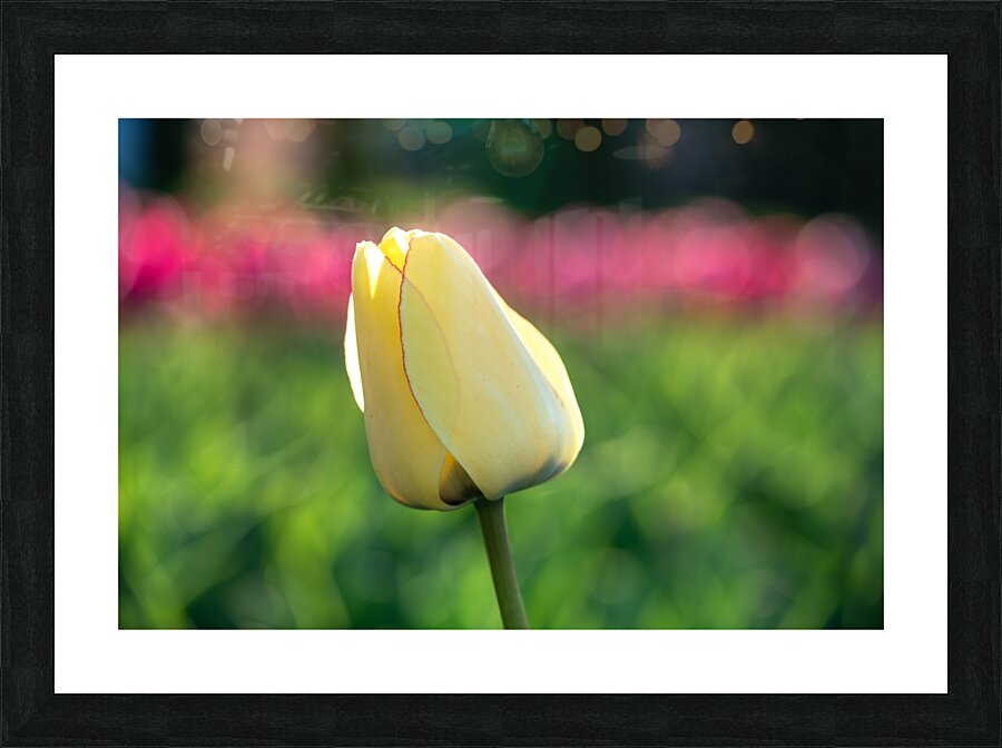 Precious Picture Frame print