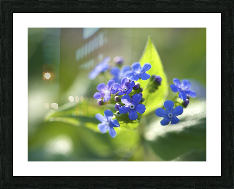 Pretty Ones Picture Frame print