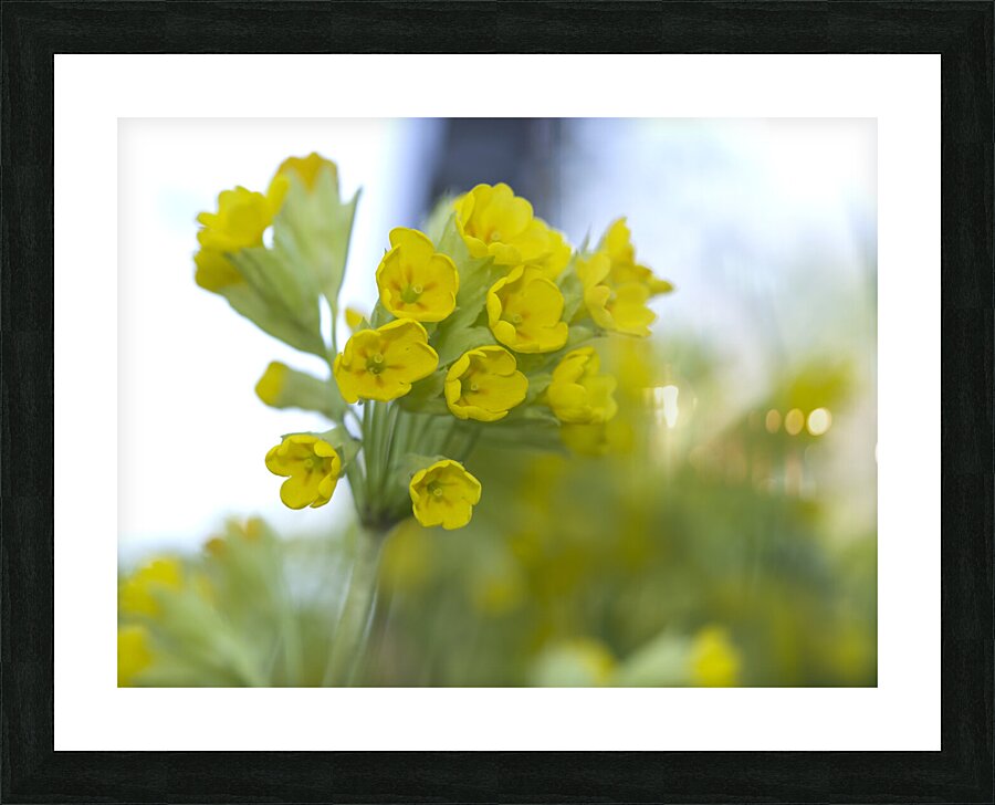 Mes Jolies Picture Frame print