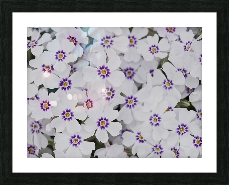 Little Darlings Picture Frame print