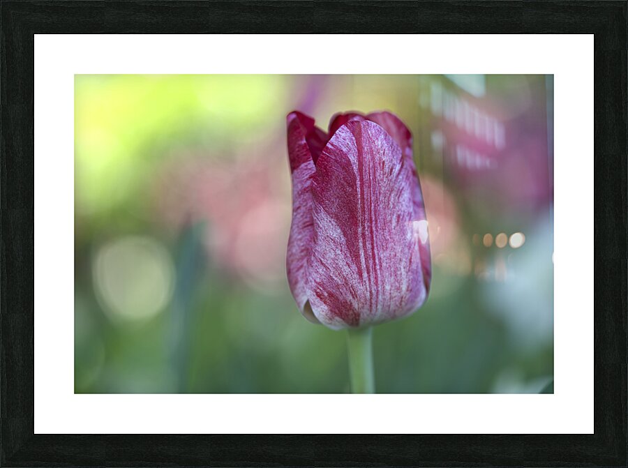 My Darling Picture Frame print