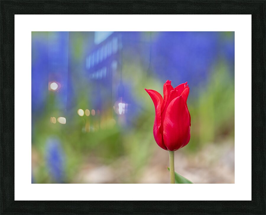 Me Myself I Picture Frame print