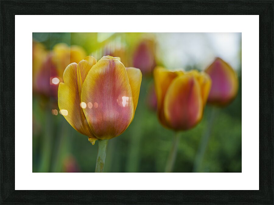 Siblings Picture Frame print