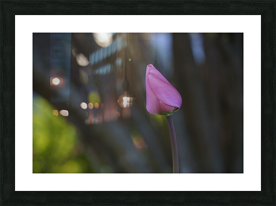 Good Energy Picture Frame print