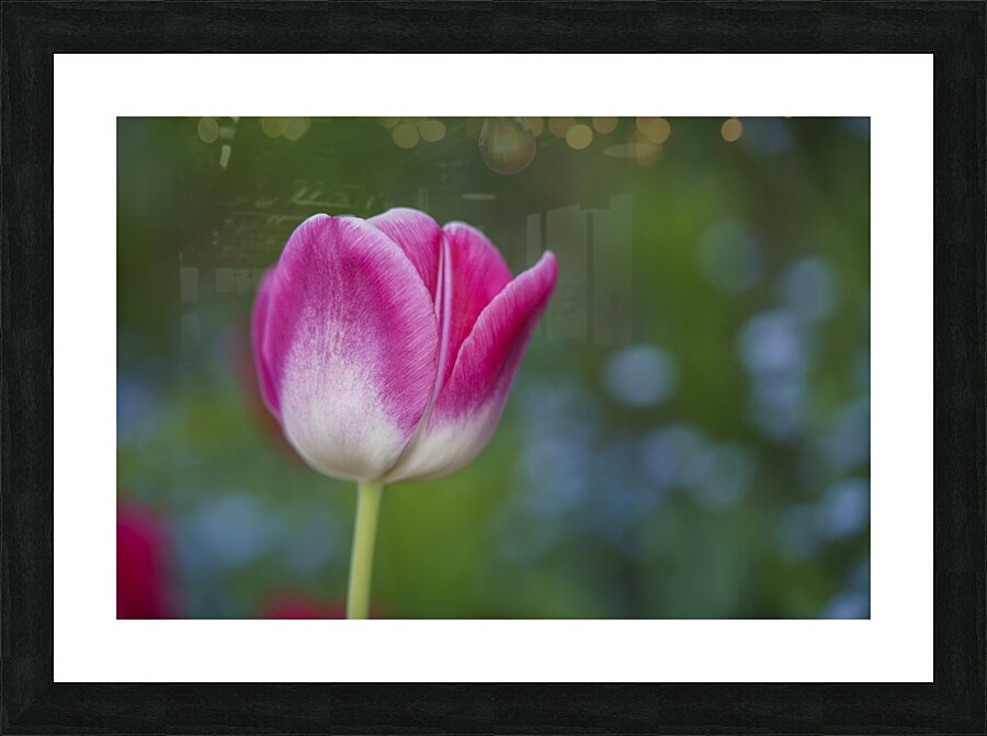 Barbie Pink Picture Frame print