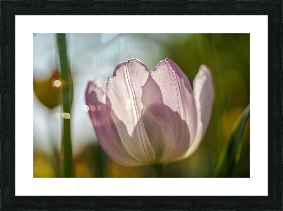 The Glowy One Picture Frame print