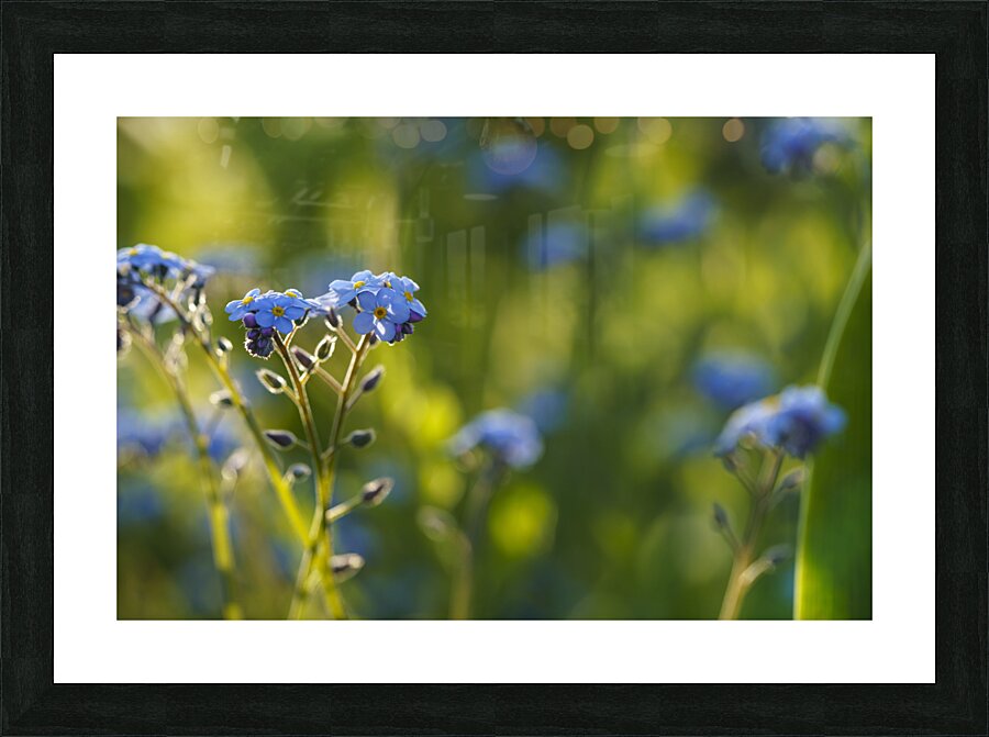 Happy Day Picture Frame print