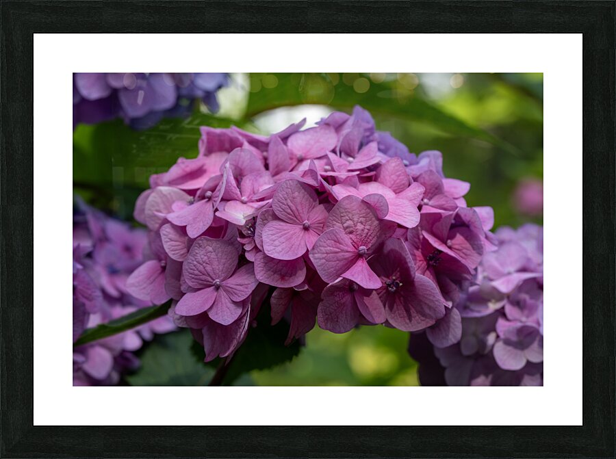 Awesome Pink Impression et Cadre photo