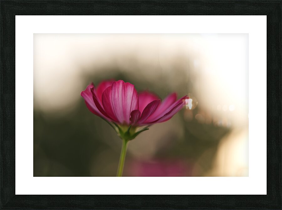 Dreamy State Picture Frame print