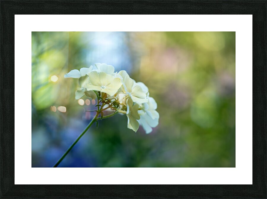 Dreamy State 2 Picture Frame print