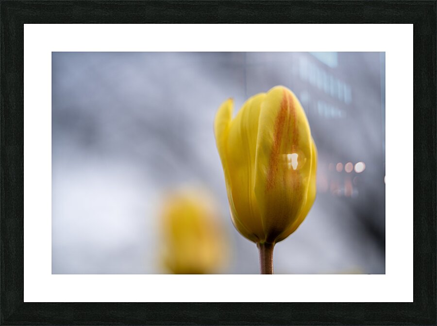 Yellow Whisperings Impression et Cadre photo