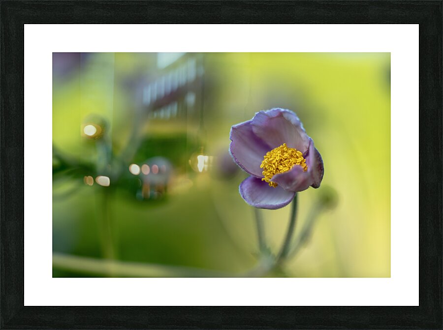 Looking Forward Picture Frame print