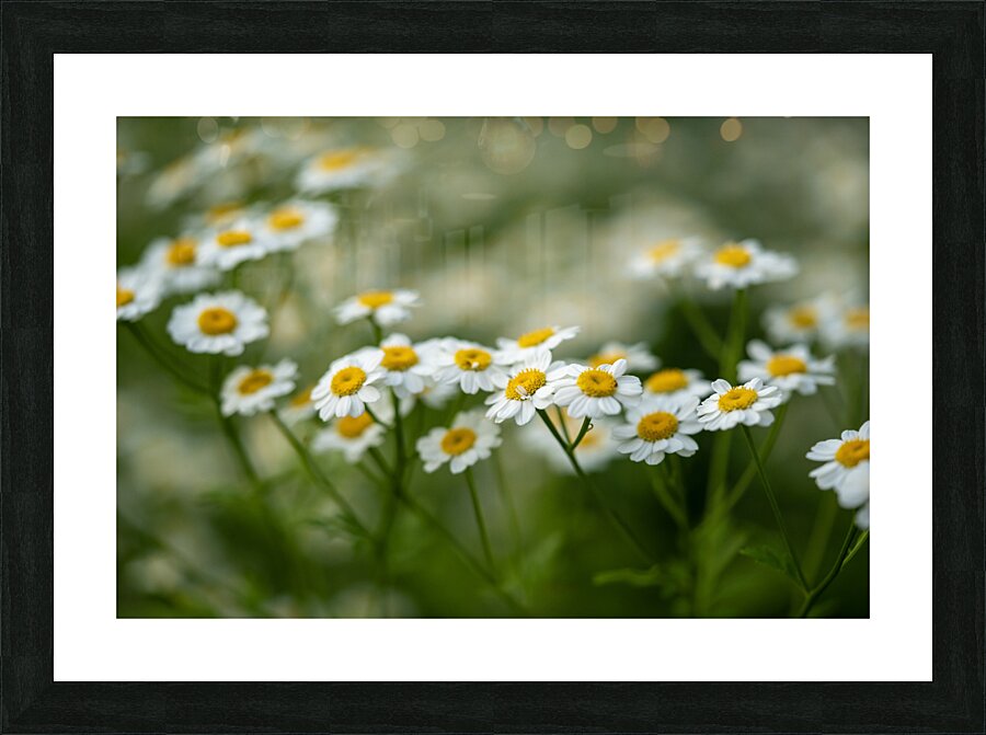 Whispers of Nature Picture Frame print