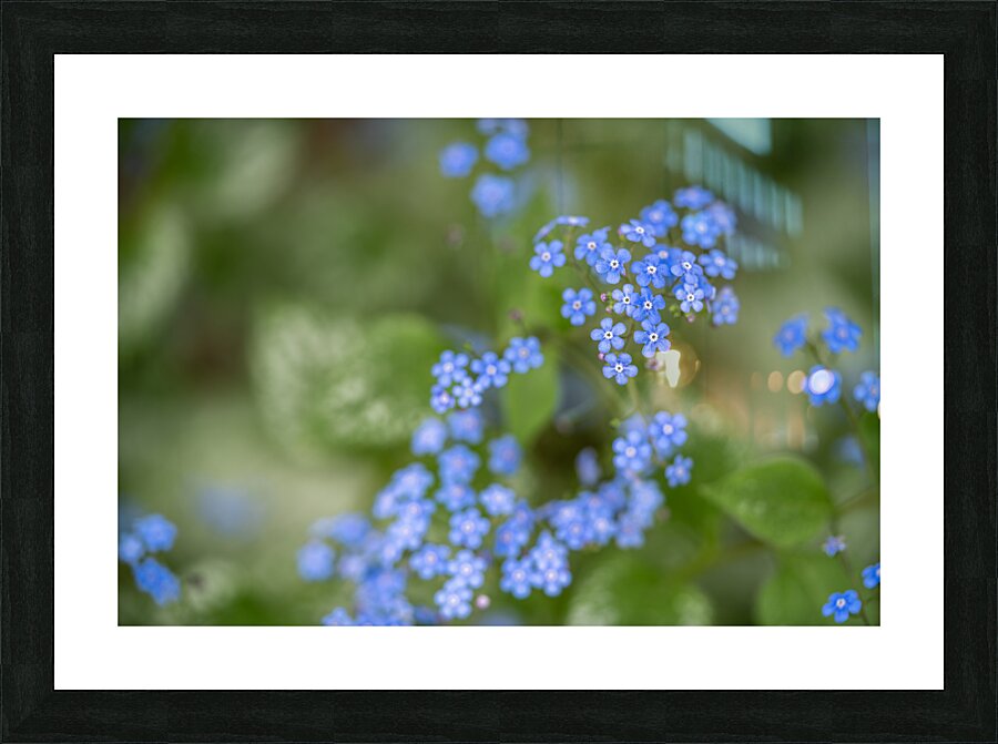 Blue Rosary Picture Frame print