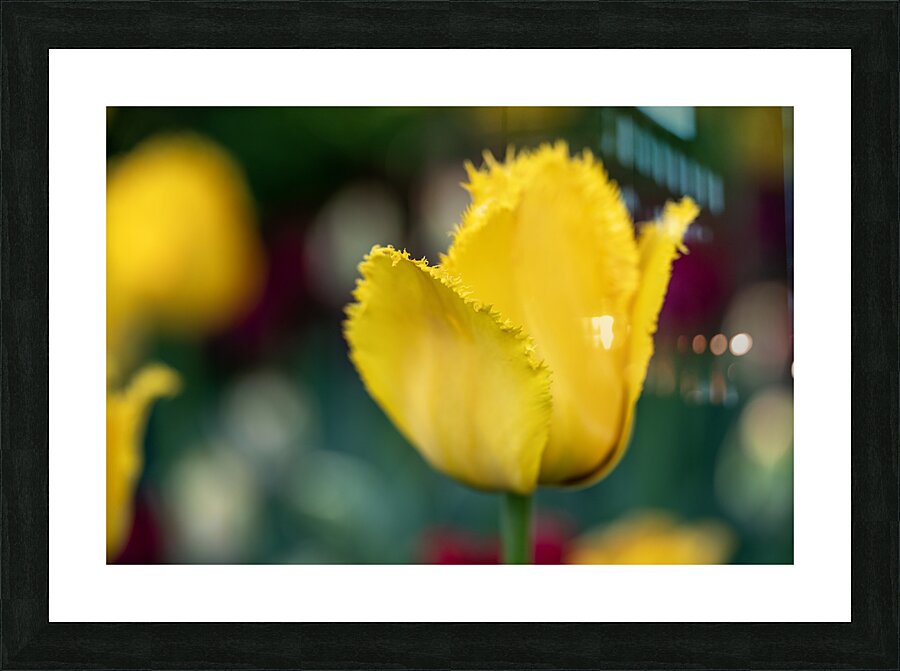 Call Me Fabiola Impression et Cadre photo