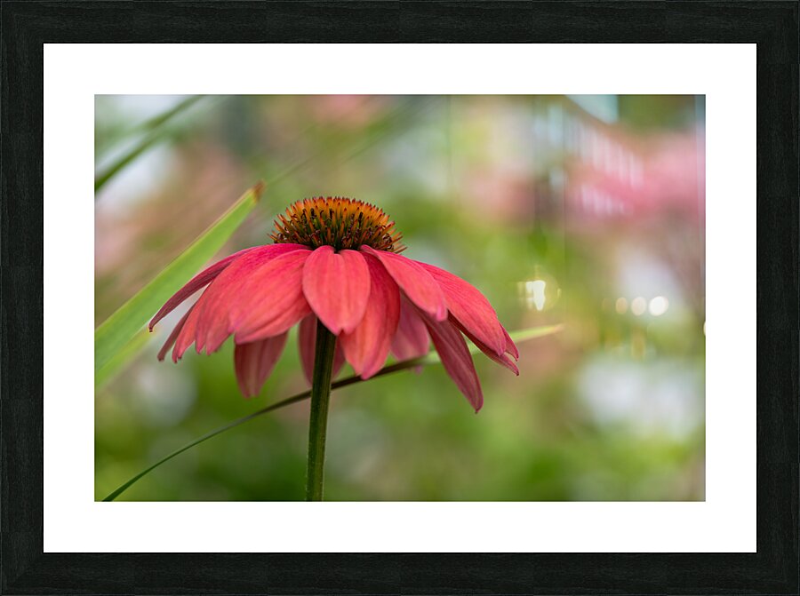 Cool One Picture Frame print