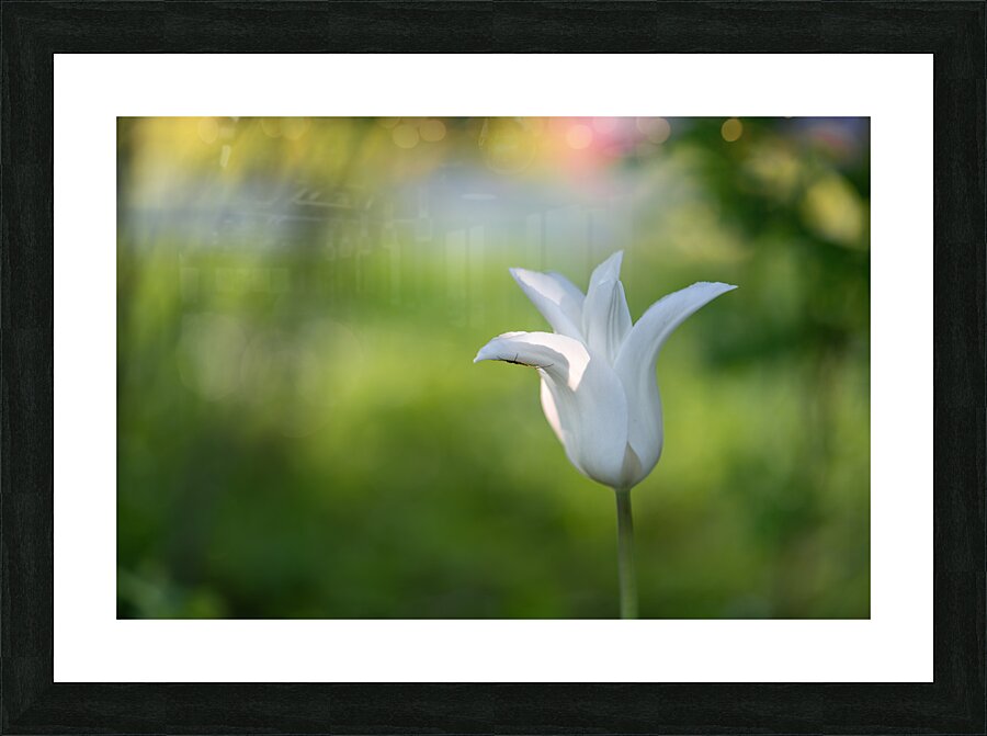 Dear Friend Picture Frame print