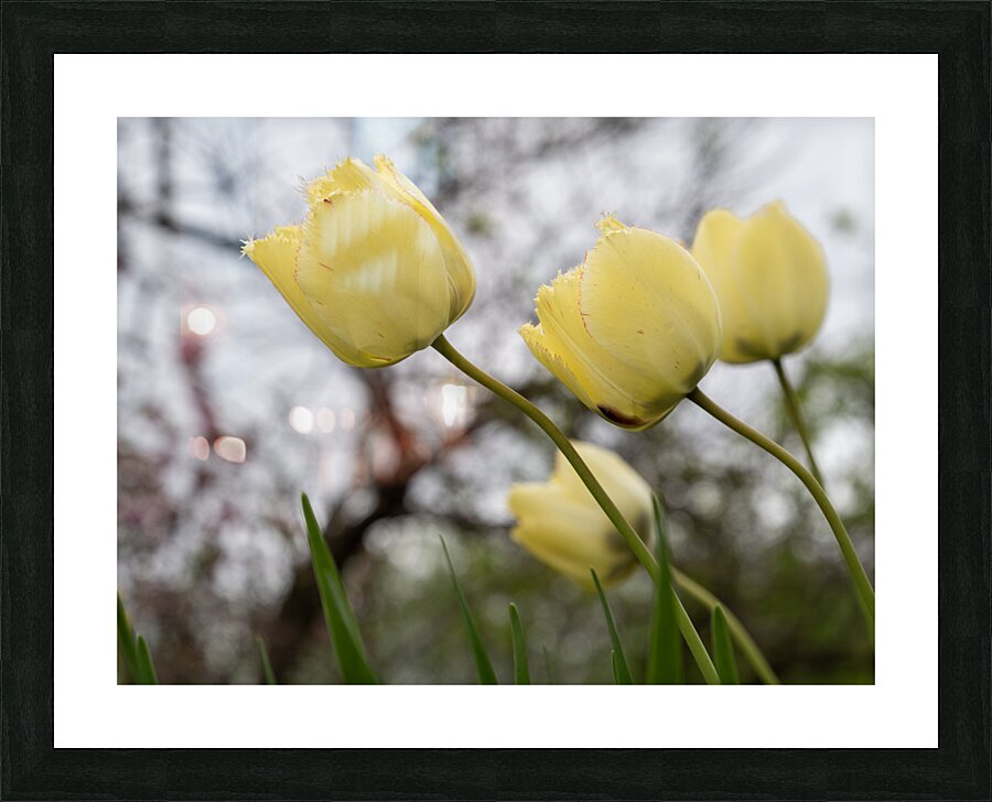 In Good Company Picture Frame print