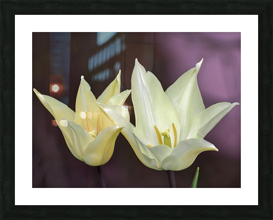 Quite a Pair Picture Frame print