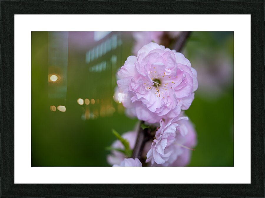 So Delicate Picture Frame print