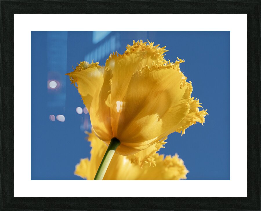 To The Sky Picture Frame print