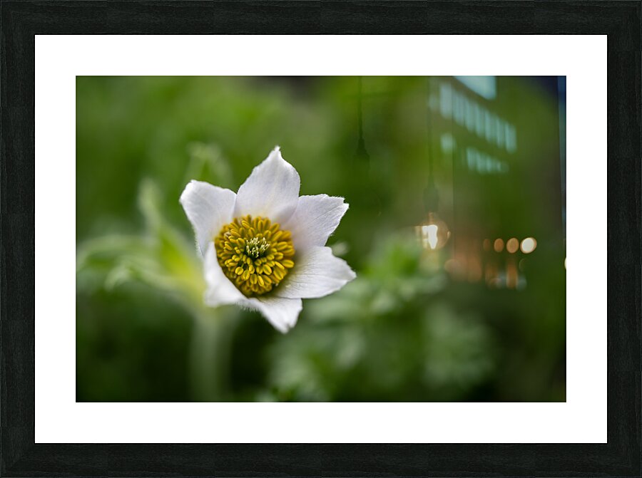 Darling 2 Impression et Cadre photo