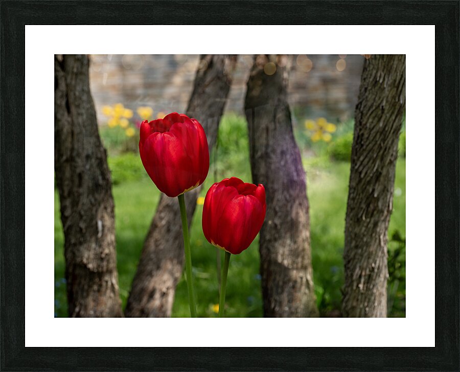 Under the Trees Picture Frame print