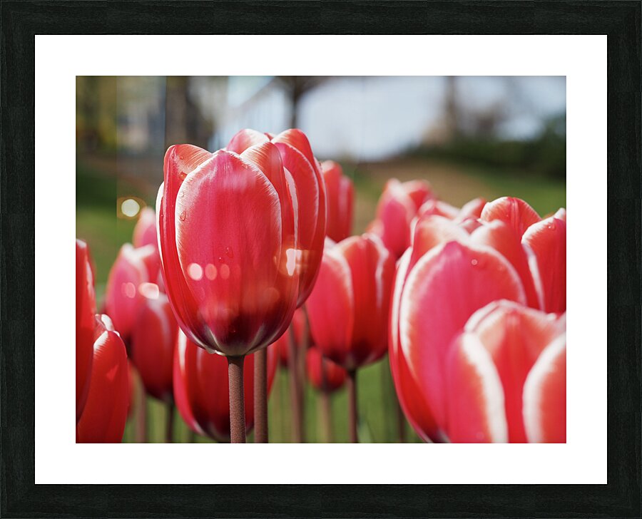 Look at Us Picture Frame print