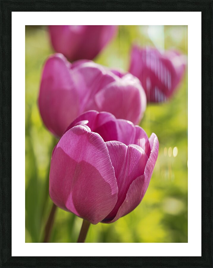 Follow the Leader Impression et Cadre photo