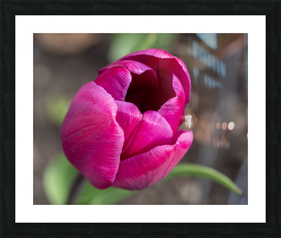 Pretty Pink Impression et Cadre photo