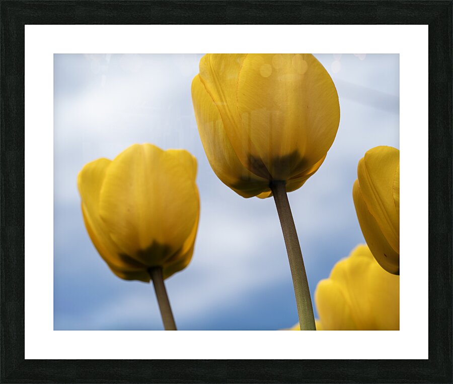 Dearest Friends Picture Frame print