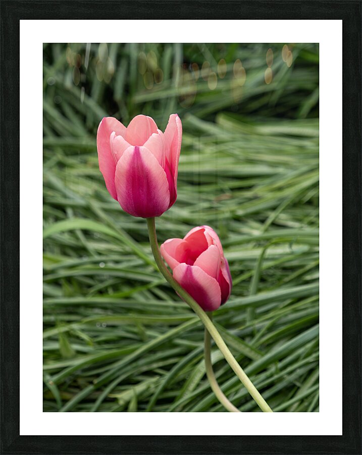 Loving You Picture Frame print