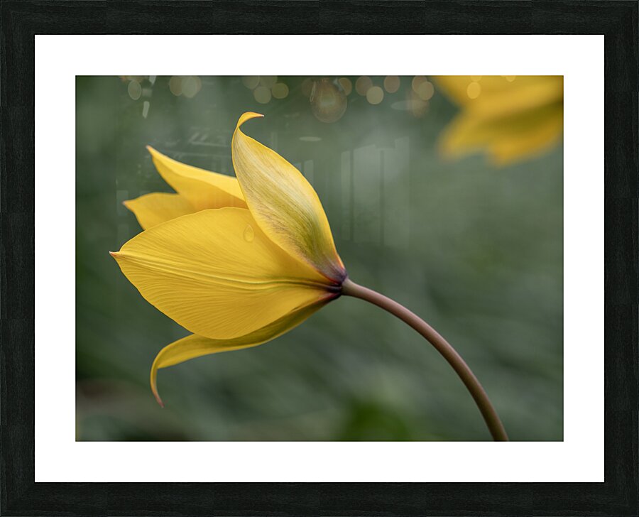 That Way Picture Frame print