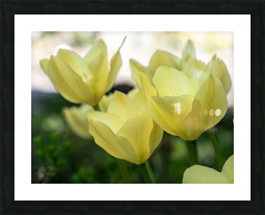 Dreamlike Picture Frame print