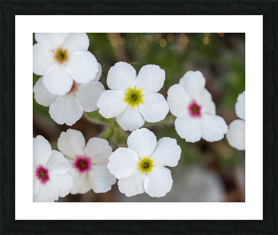 Colorful Dots Impression et Cadre photo