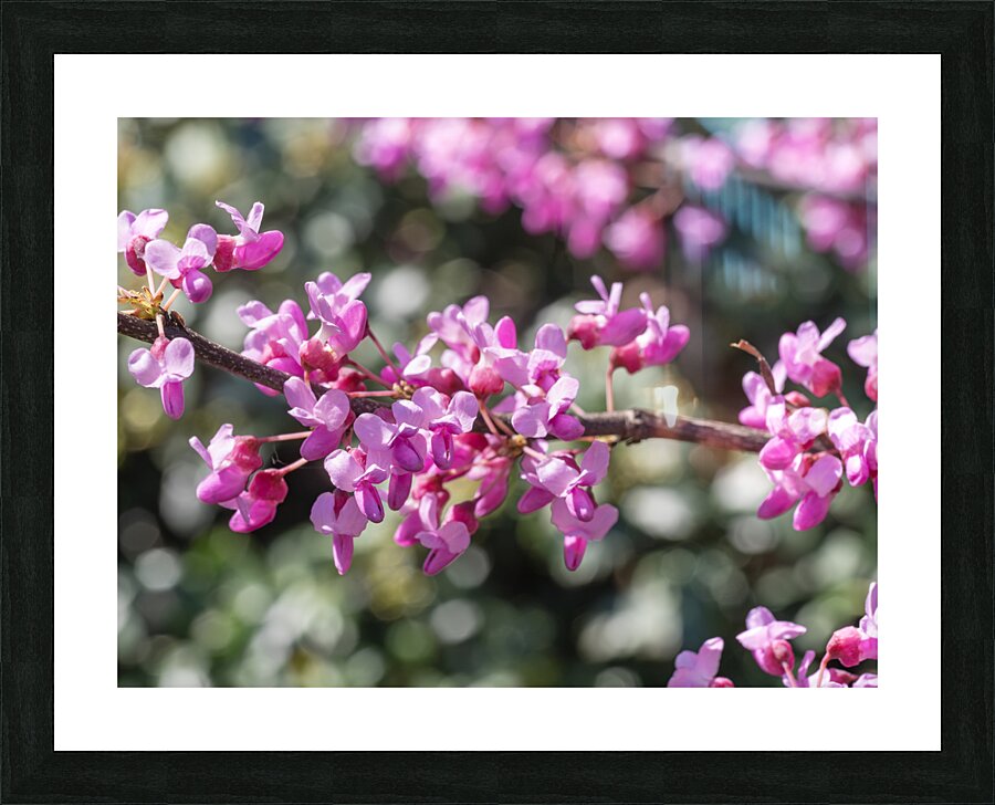 Cuties Picture Frame print