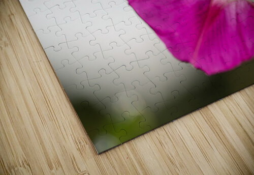 Anticipation Suzanne Bonin puzzle