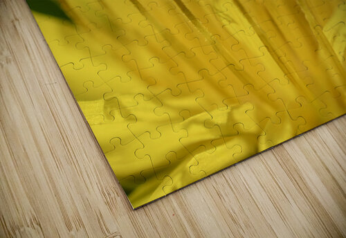 Dandelion Suzanne Bonin puzzle