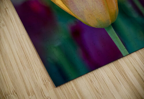 Fringed Blossom Suzanne Bonin puzzle