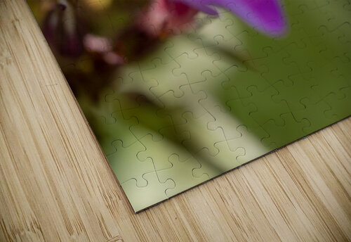 Good Day Suzanne Bonin puzzle