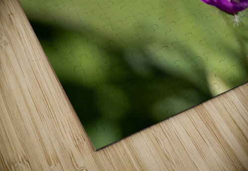 Lonely Suzanne Bonin puzzle