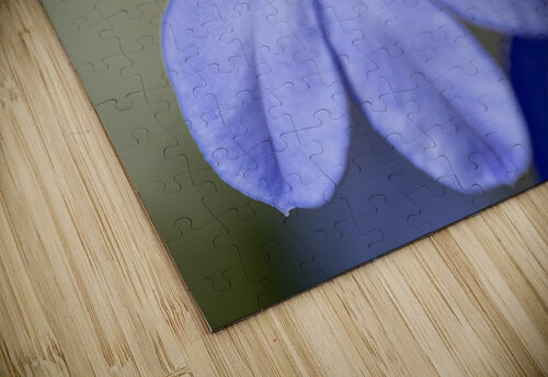 Lobelia Suzanne Bonin puzzle