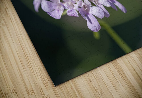 Pincushion Flower Suzanne Bonin puzzle